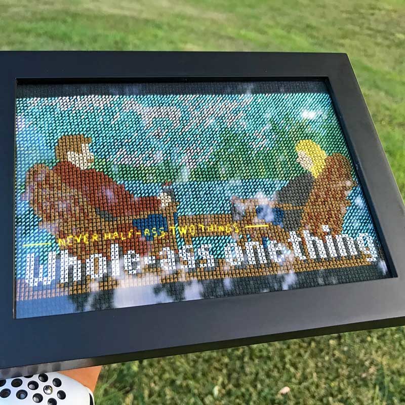leslie and ron ˣ deluxe cross stitch